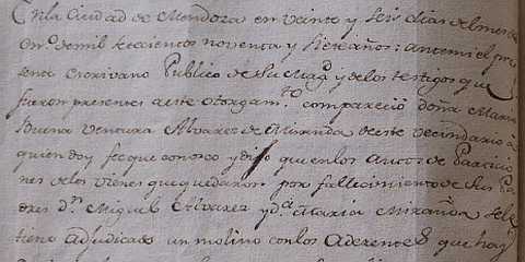 Antonio Virgala, hijo de Ventura Alvarez y Fermin Martinez Virgala, hermana y cuñado de Trinidad Alvarez, vecinos de la ciudad de Mendoza