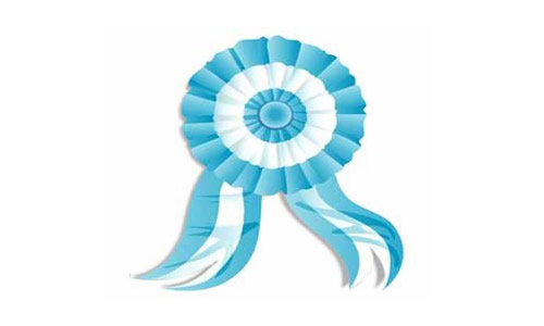 Escarapela de Mendoza y Argentina