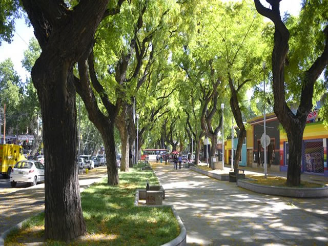 Alameda Ciudad de Mendoza Argentina