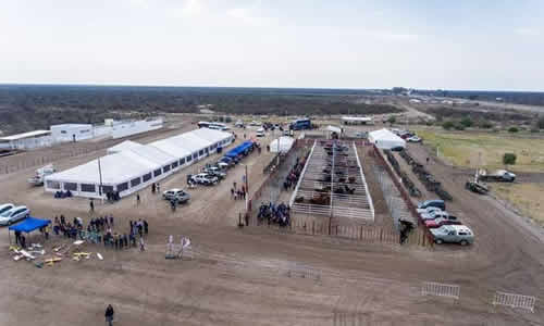 Feria Ganadera La Paz Mendoza Argentina