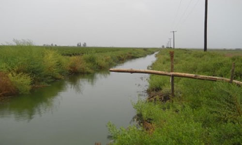 El Paramillo Lavalle Mendoza Argentina