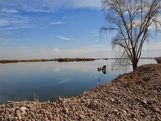 Acre Lavalle Mendoza Argentina