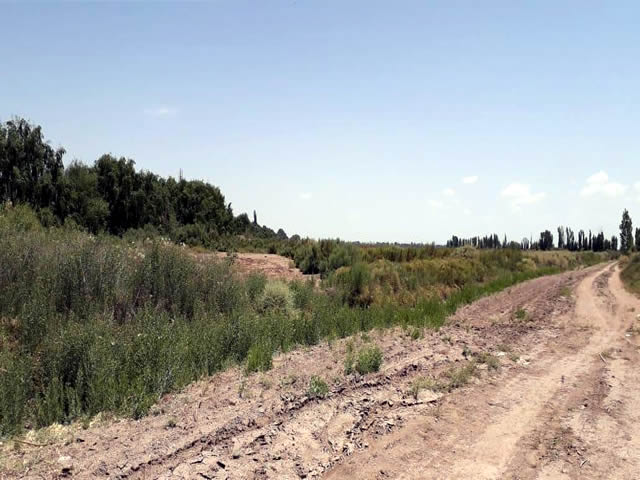 El Chilcal Lavalle Mendoza Argentina