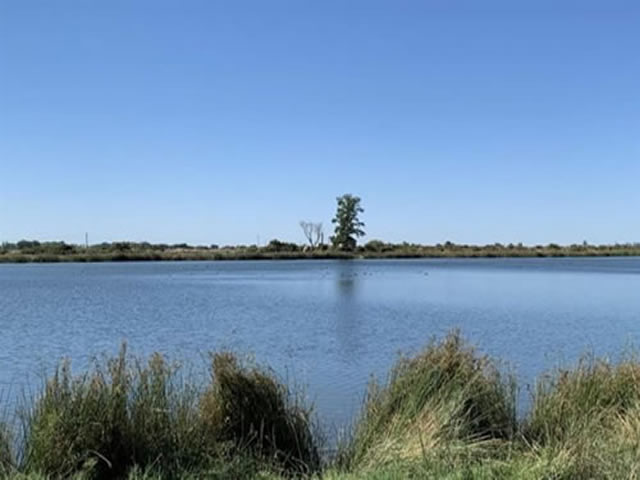 Humedal Leyes Tulumaya Lavalle Mendoza Argentina