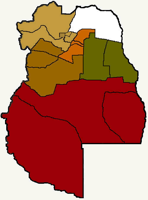 Lavalle en la Región Noreste Mendoza Argentina