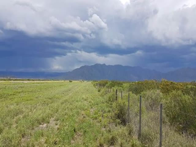 Perdriel Luján de Cuyo Mendoza Argentina