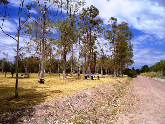 Chachingo Maipu Mendoza Argentina
