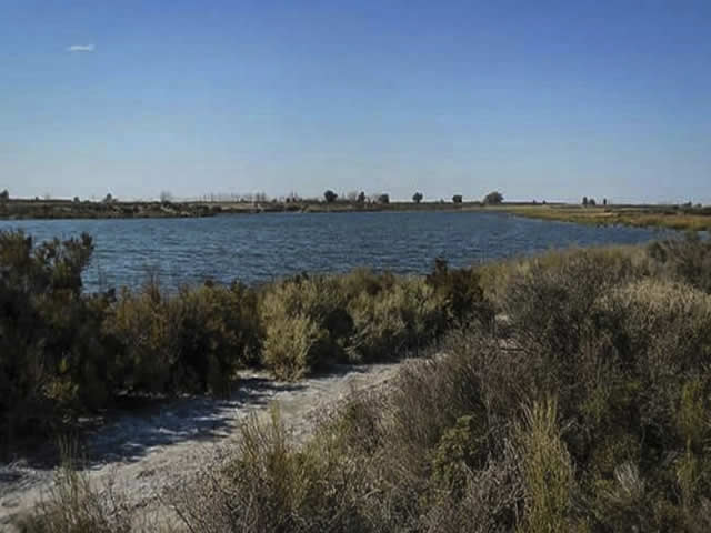 El Viboron Maipu Mendoza Argentina