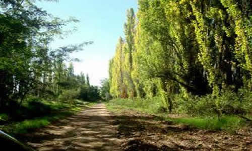 Cuadro Benegas San Rafael Mendoza Argentina