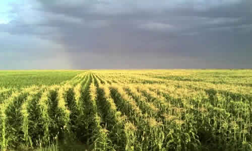 Las Catitas Santa Rosa Mendoza Argentina