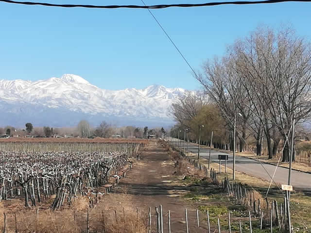 El Algarrobo Tunuyán Mendoza Argentina