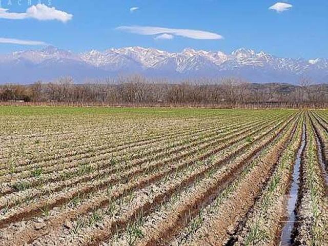 El Peral Tupungato Mendoza Argentina