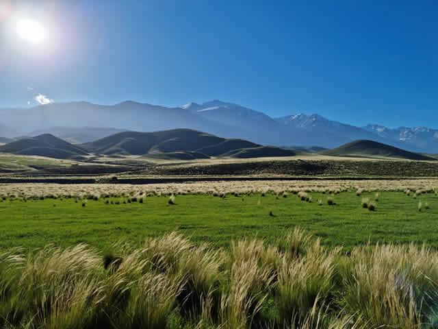 La Carrera Tupungato Mendoza Argentina